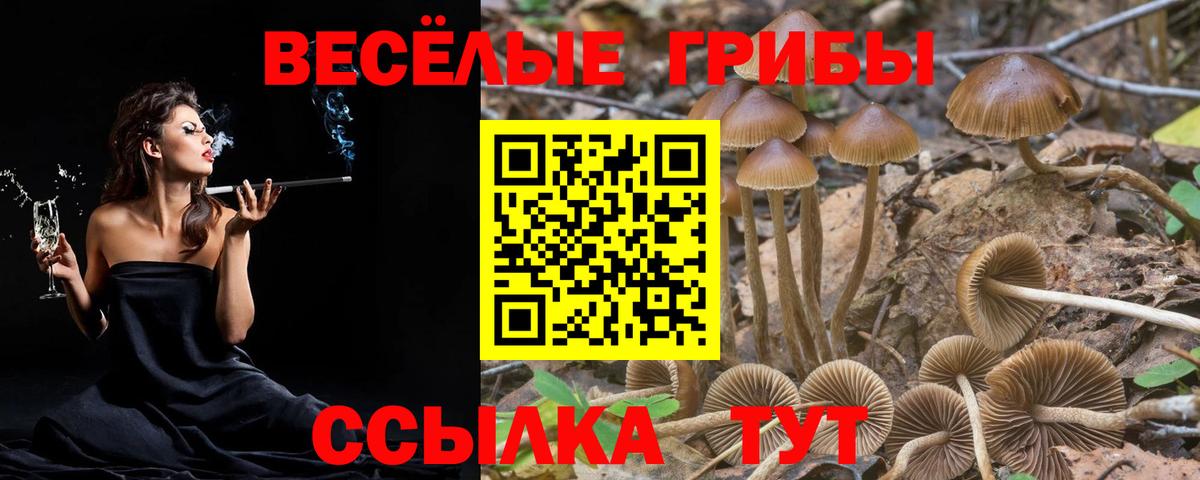 Галлюциногенные грибы ЛСД  Вход с VPN  Псилоцибиновые грибы MAGIC MUSHROOMS  Уссурийск 